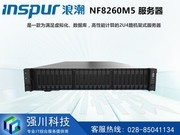 ɶ˳ܴ ӢNF8260M5(Xeon Gold 5118*2/16GB*2/600GB)