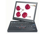 IBM ThinkPad X41 T22C
