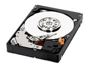 WD 450GB/10000ת(WD4500BLHX)