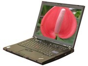 ThinkPad T61