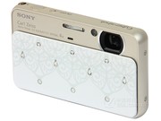  T110D