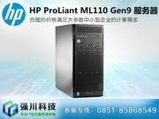 HP ProLiant ML110 Gen9(777161-AA1)