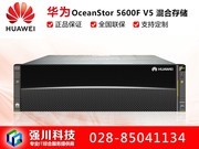 Ϊ OceanStor 5600F V5(ϵͳ512GB棩