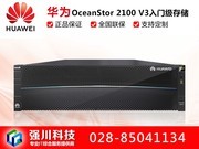 Ϊ洢OceanStor 2100 V3