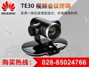 华为 TE30-1080P 高清会议系统8倍变焦