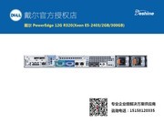 戴尔 PowerEdge 12G R320(Xeon E5-2403/2GB/300GB)