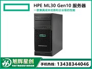 HP ProLiant ML30 Gen10（Xeon E-2224/8GB）