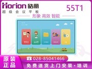  55T1