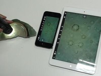 �����ղش�������600���ۿ���������