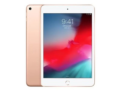 ƻ ¿iPad mini 201964GB/WLAN棩