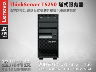 ThinkServer TS250(i3-7100/32GB/1TB*3)