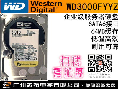 (WD)REϵ 3TB SATA6Gb/s 7200ת64M ҵӲ(WD3000FYYZ)