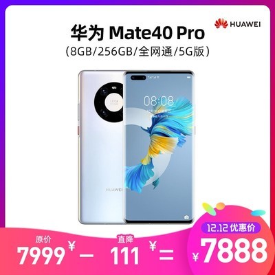 华为 Mate40 Pro（8GB/256GB/全网通/5G版）
